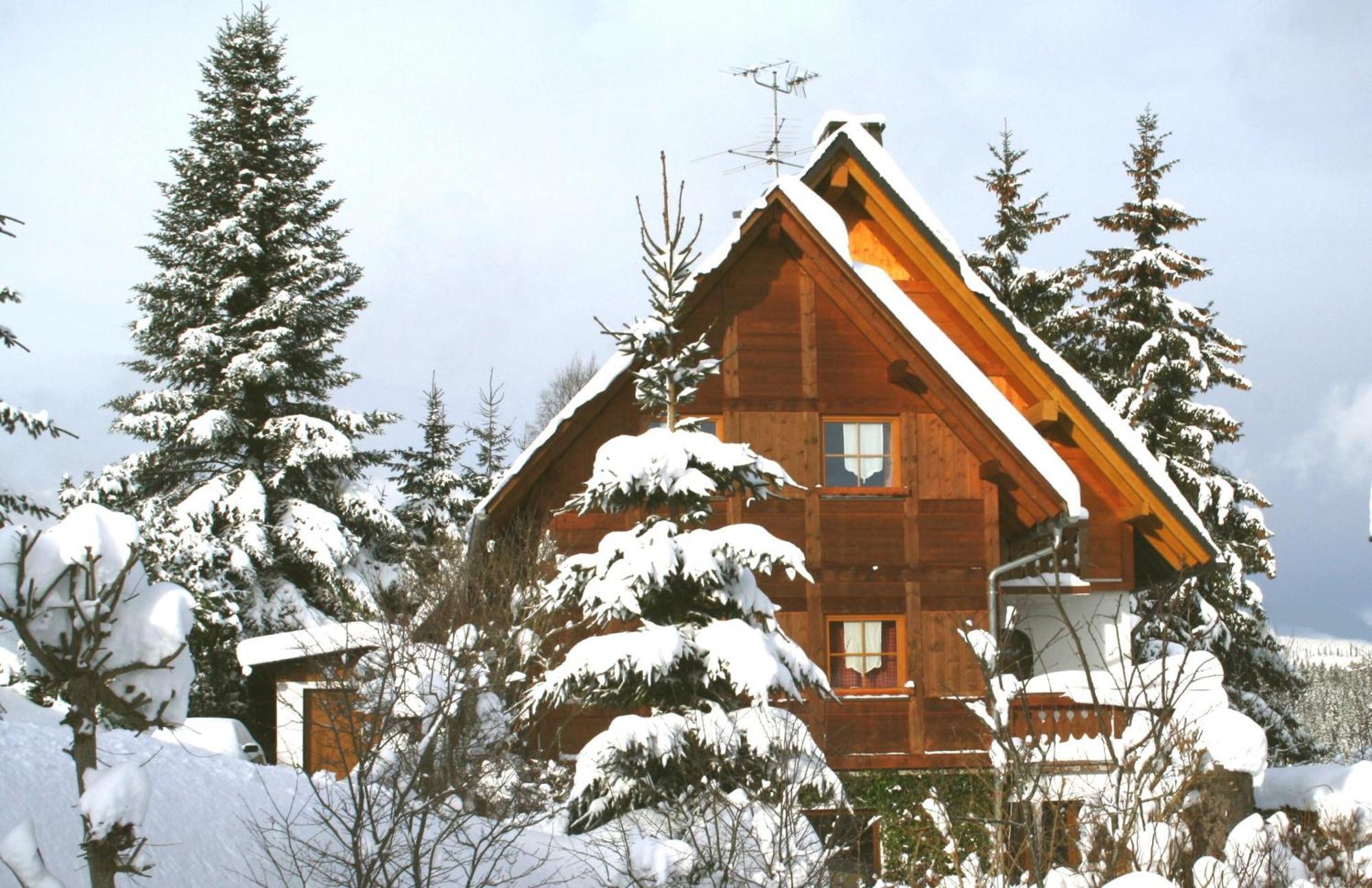 Ferienwohnung Seeblick Nr 5, 2 Zi-Baerental, Feldberg Rotwasser Exterior photo