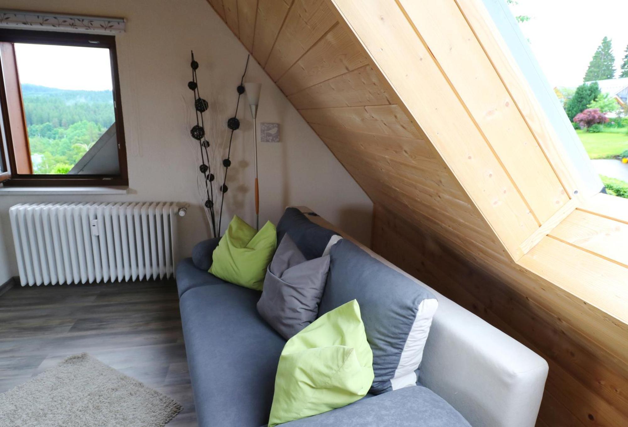 Ferienwohnung Seeblick Nr 5, 2 Zi-Baerental, Feldberg Rotwasser Exterior photo